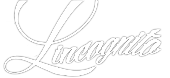 <?php echo $lang ?> Logo